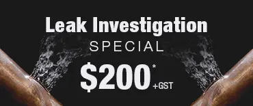 Leak Investigation Discount Maraetai